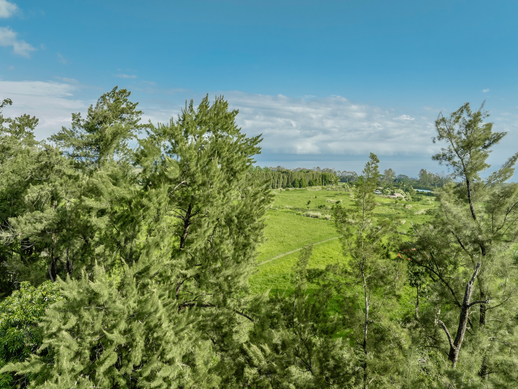 Lot A-2 Chin Chuck Road Papaikou, HI 96781 - Photo 20 of 30 a view of a garden