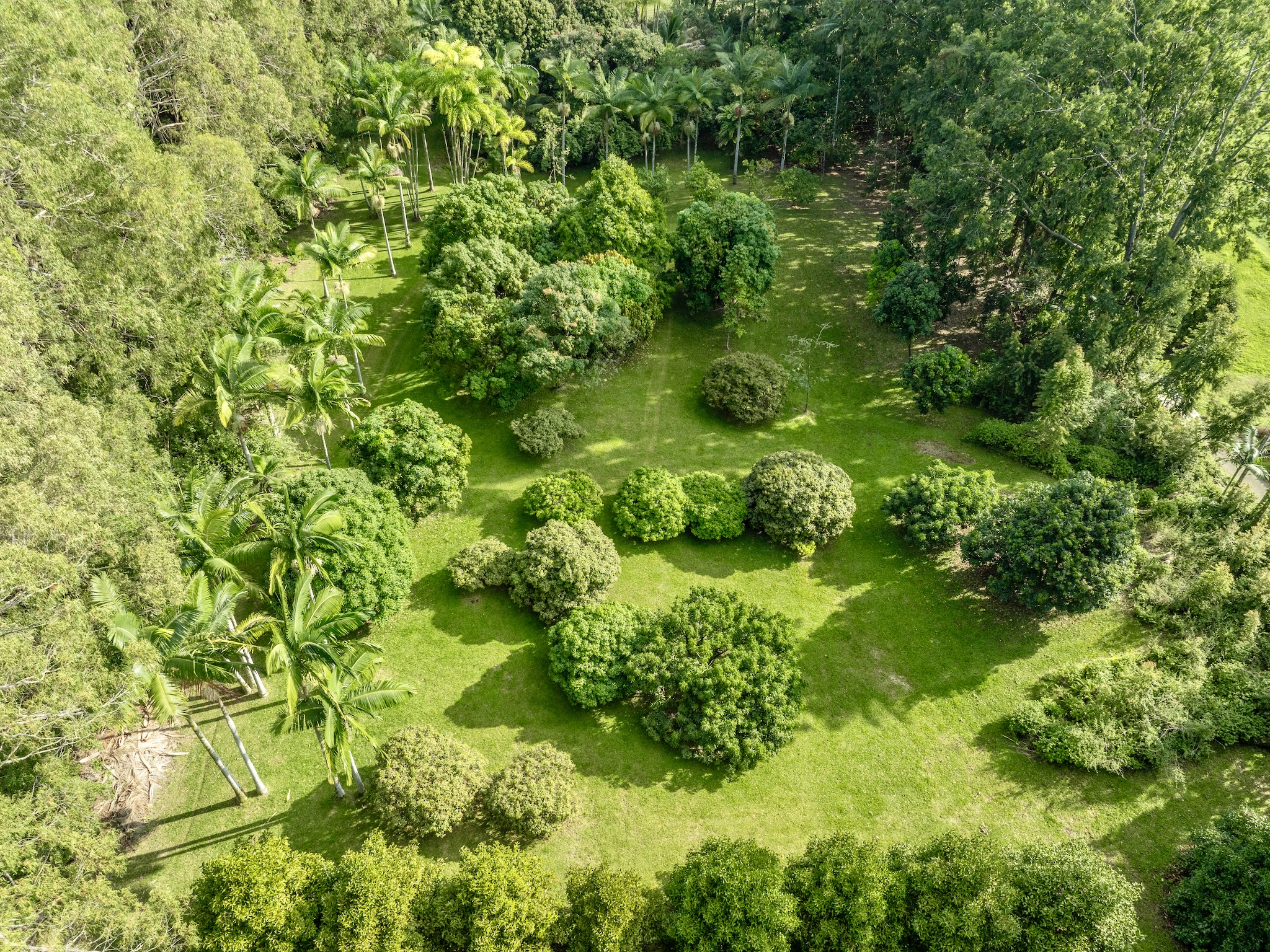 Lot A-2 Chin Chuck Road Papaikou, HI 96781 - Photo 2 of 30 a backyard of a house with lots of green space and mountain view