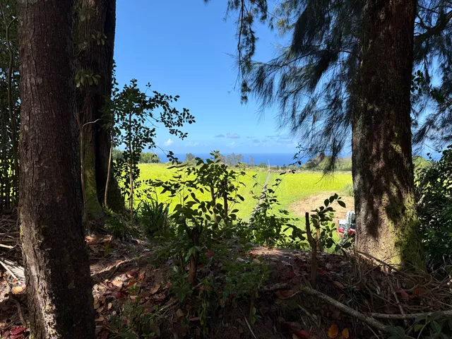 $799,000 | Lot A-2 Chin Chuck Road, Papaikou, HI 96781