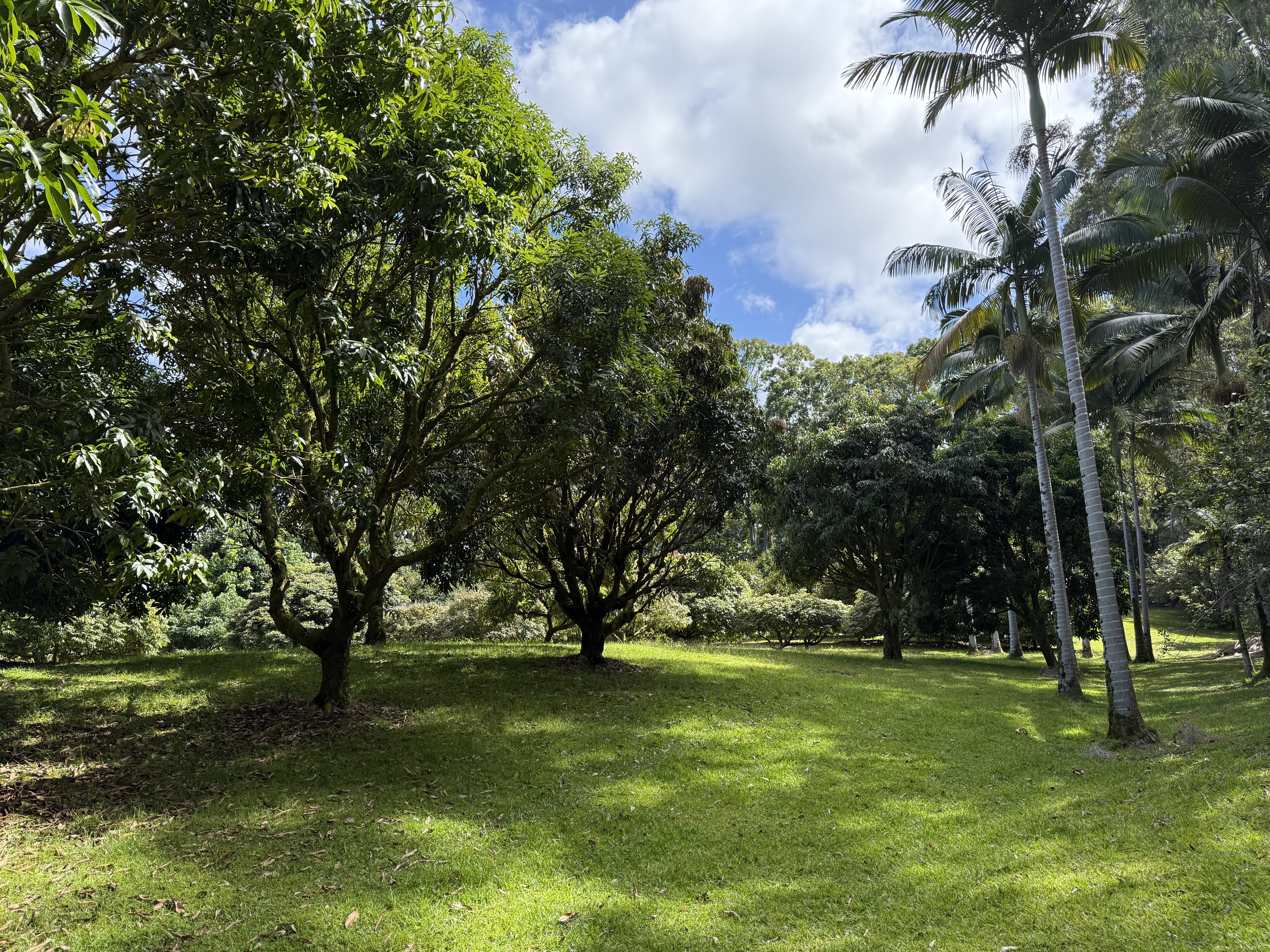 Lot A-2 Chin Chuck Road Papaikou, HI 96781 - Photo 22 of 30