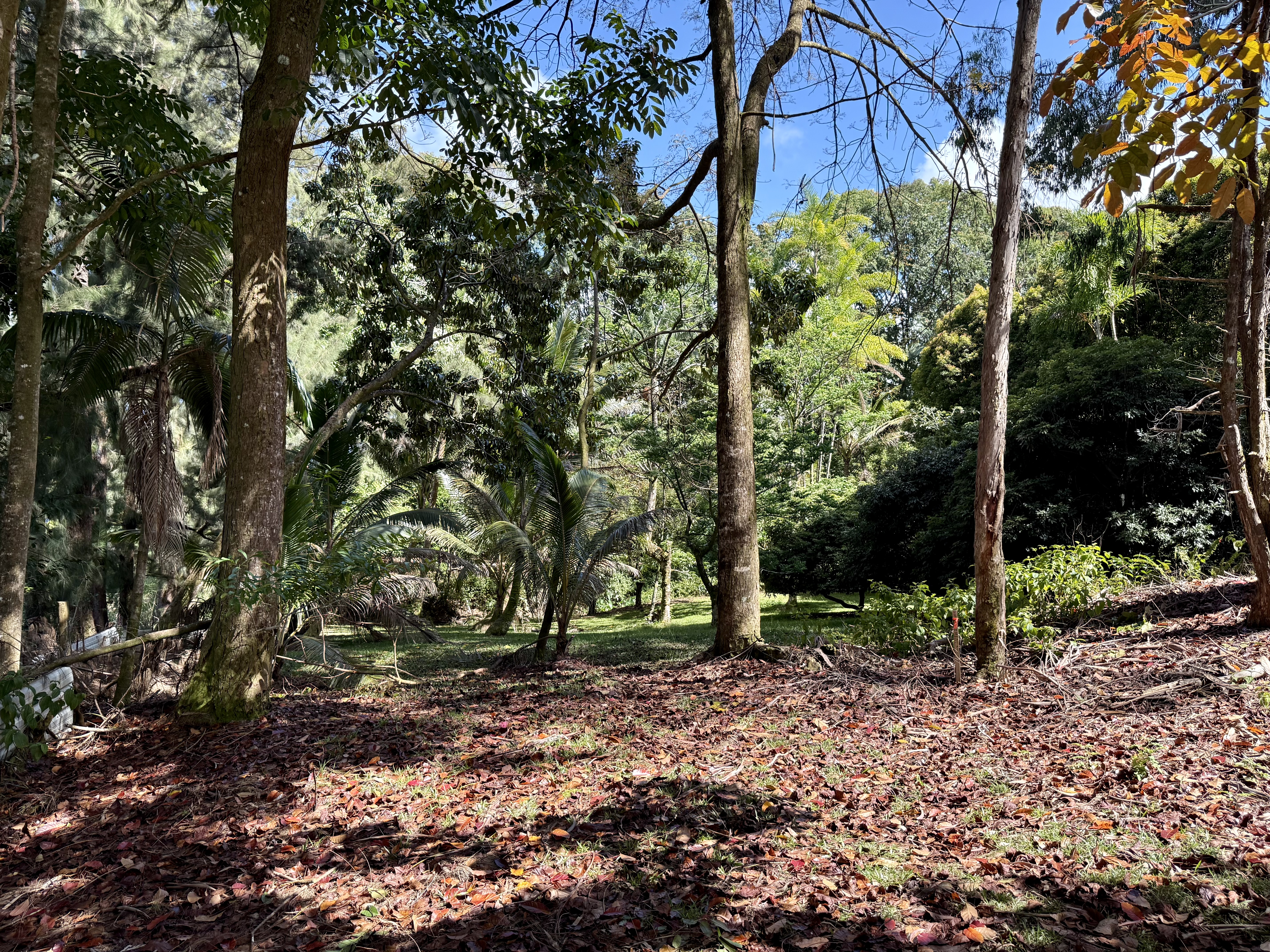 Lot A-2 Chin Chuck Road Papaikou, HI 96781 - Photo 24 of 30