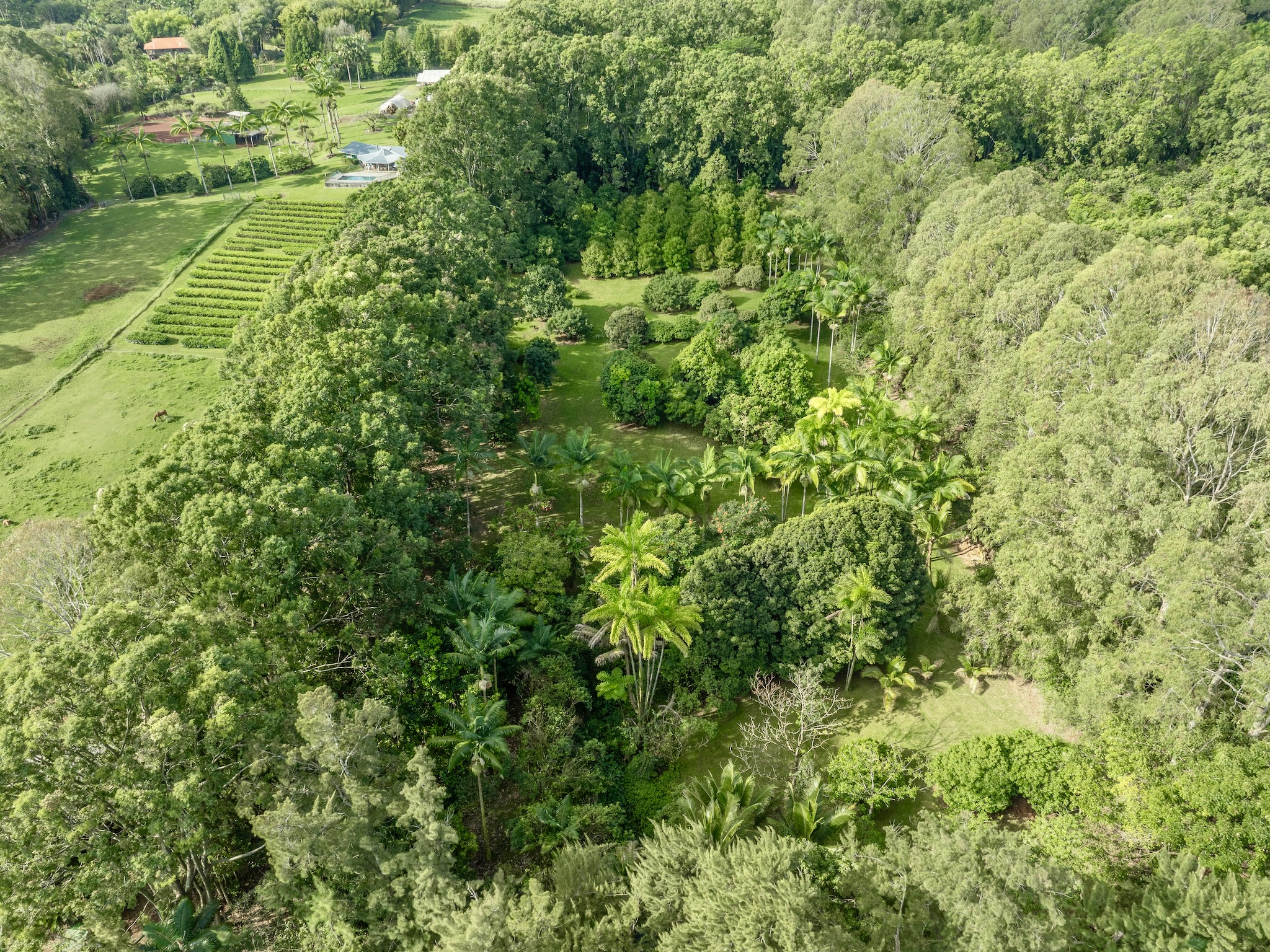 Lot A-2 Chin Chuck Road Papaikou, HI 96781 - Photo 24 of 30