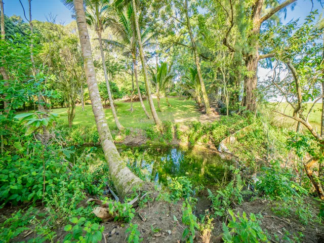 $799,000 | Lot A-2 Chin Chuck Road, Papaikou, HI 96781