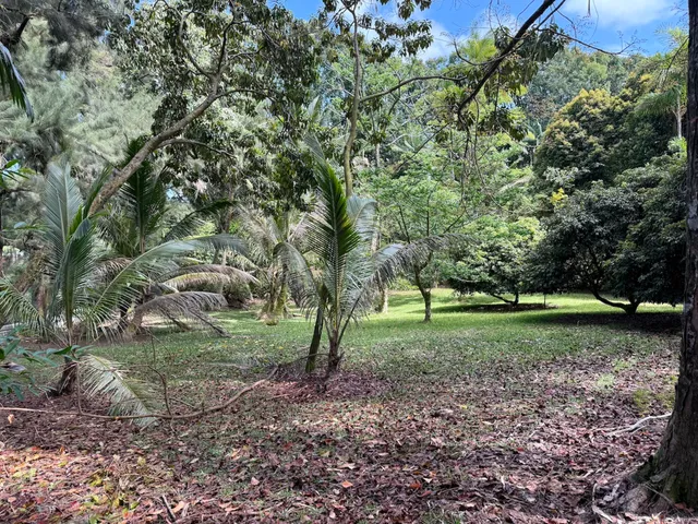 $799,000 | Lot A-2 Chin Chuck Road, Papaikou, HI 96781