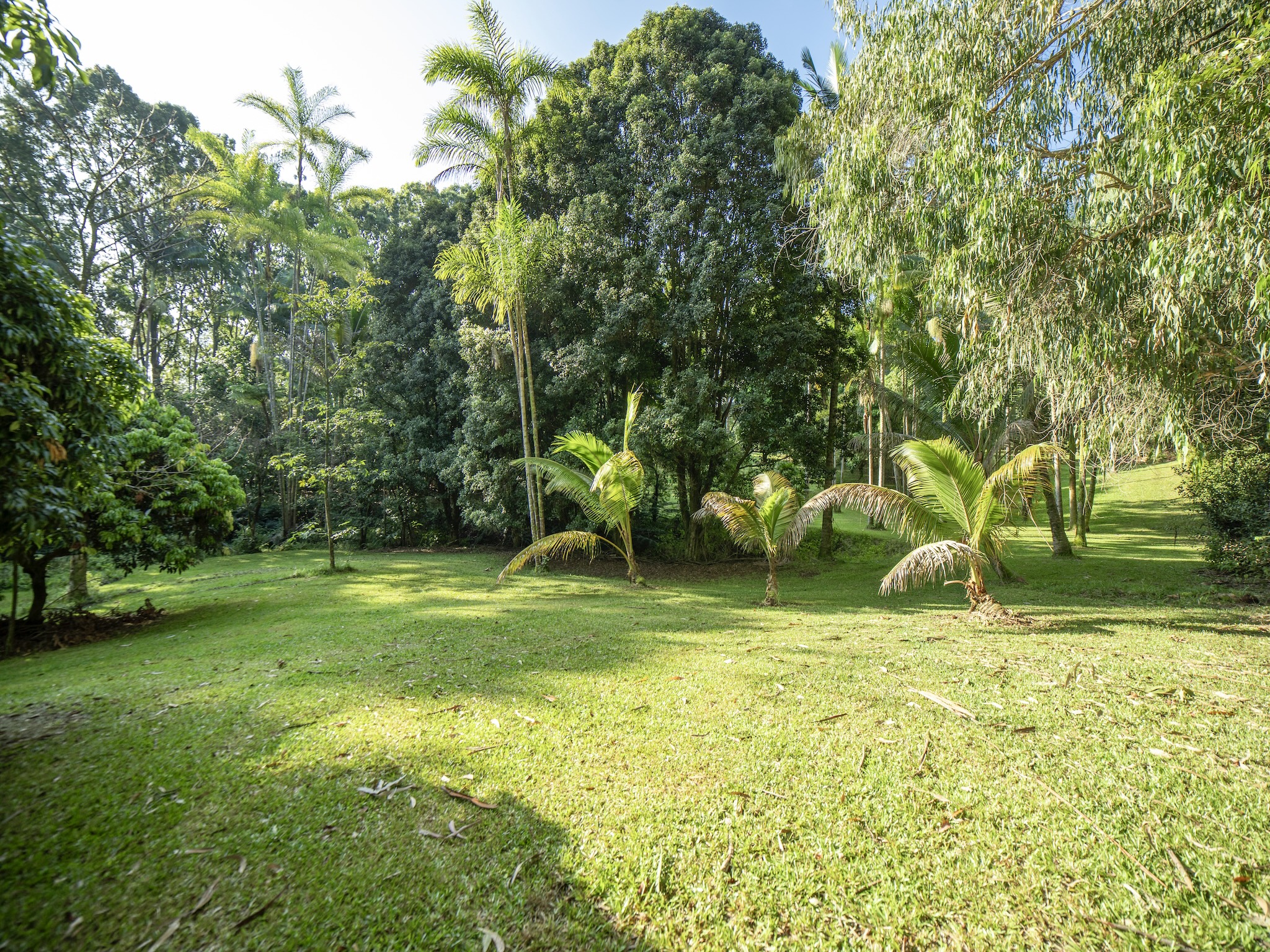 Lot A-2 Chin Chuck Road Papaikou, HI 96781 - Photo 27 of 30