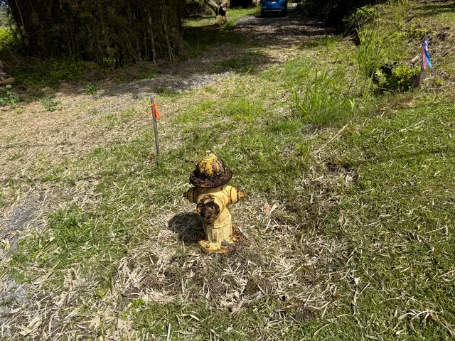 $799,000 | Lot A-2 Chin Chuck Road, Papaikou, HI 96781