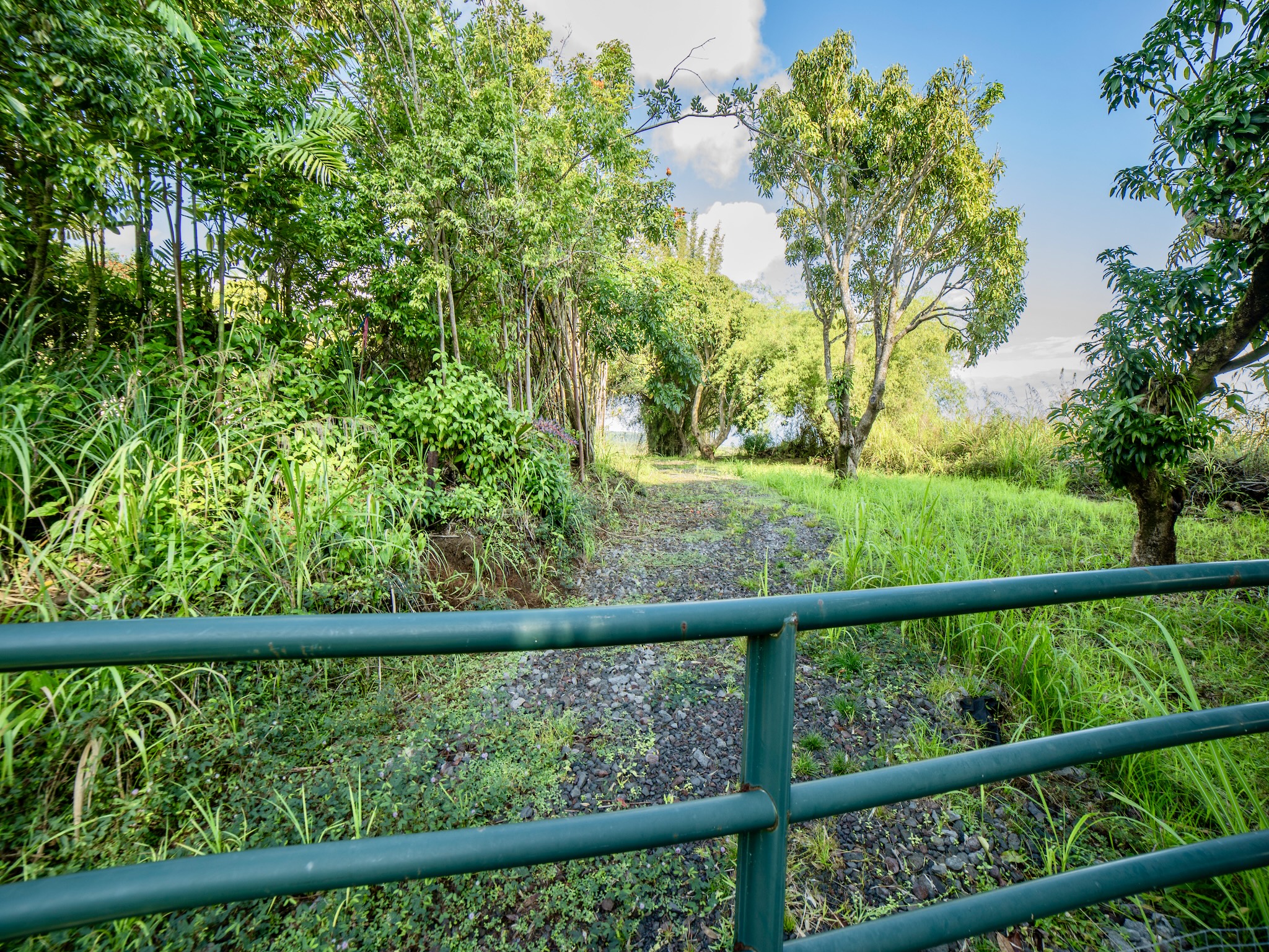 Lot A-2 Chin Chuck Road Papaikou, HI 96781 - Photo 29 of 30