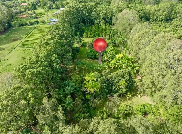 a view of a backyard with large trees and a small yard