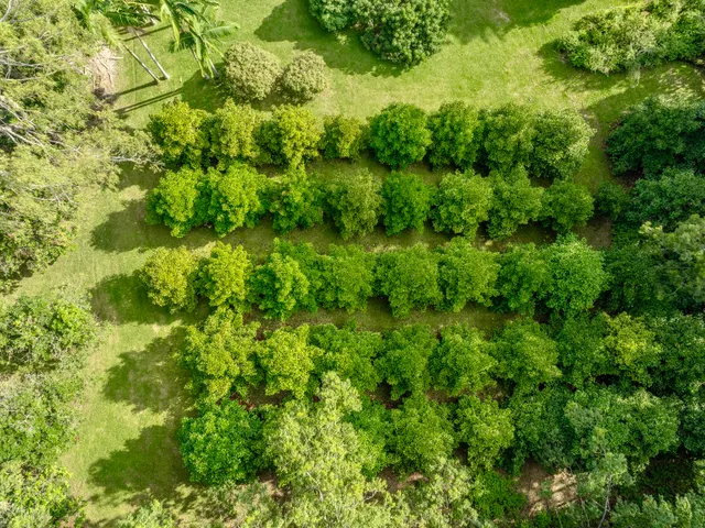 a backyard of a house with lots of green space and a fountain