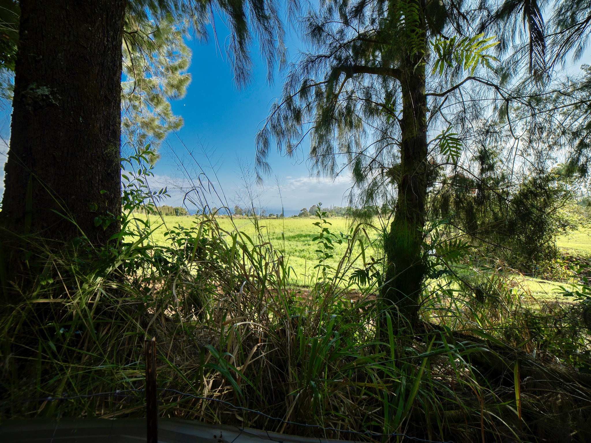 Lot A-2 Chin Chuck Road Papaikou, HI 96781 - Photo 5 of 30