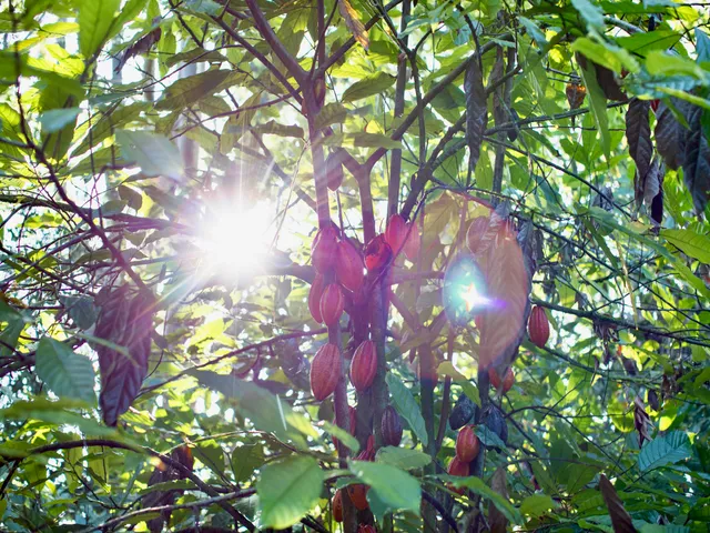 a view of a room with wooden floor and a window