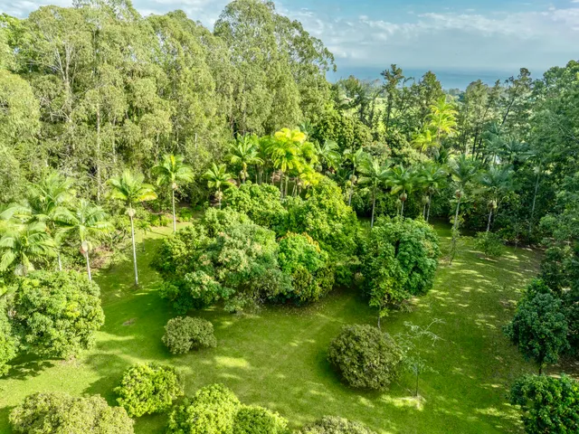 a view of yard with green space