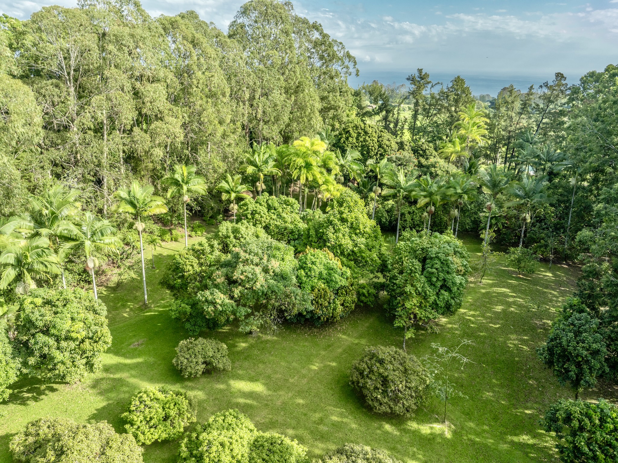 Lot A-2 Chin Chuck Road Papaikou, HI 96781 - Photo 9 of 30