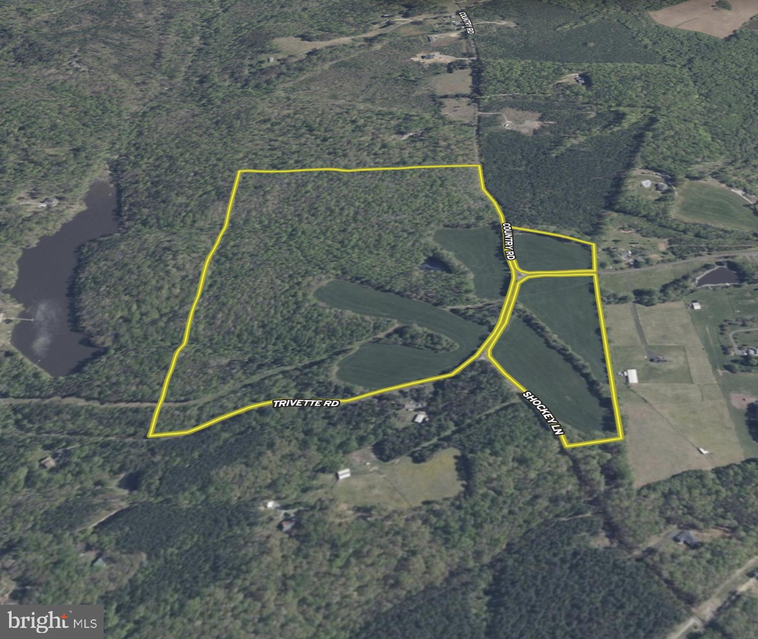 0 Trivette Road Beaverdam, VA 23015 - Photo 41 of 45