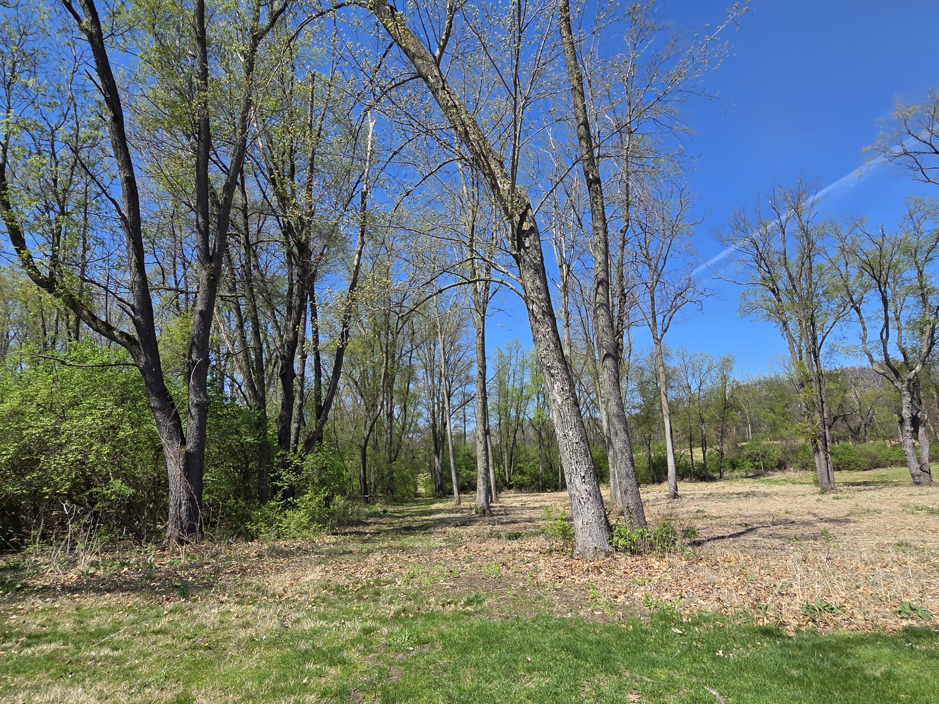 4290 1/2 Springbrook Road Jackson, MI 49201 - Photo 5 of 6 Trails