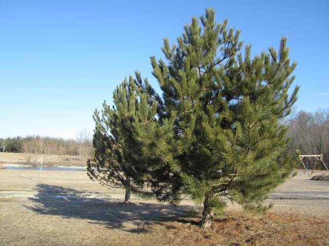 18722 Madden Road Churubusco, IN 46723 - Photo 6 of 29 Gallery Image 6