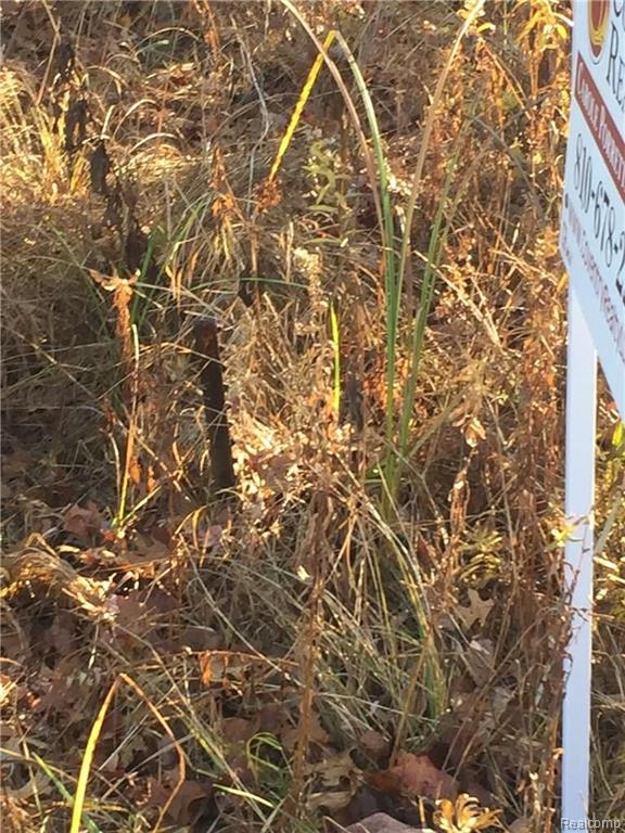 Vl Lake George Road Dryden, MI 48455 - Photo 23 of 23