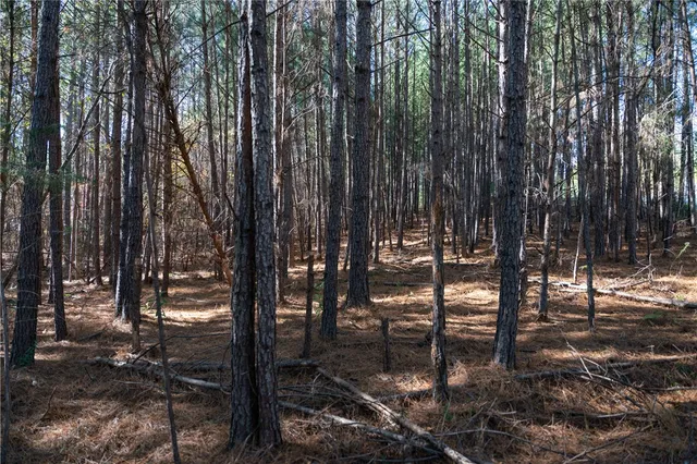 $125,000 | Lot 39 Golden Bear Drive, Sunset, SC 29685