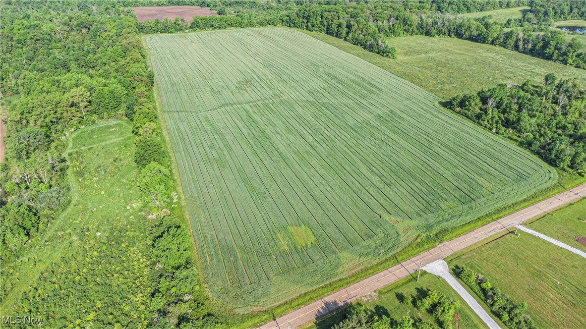 Dewey Road Thompson, OH 44086 - Photo 5 of 10 View of rural area featuring large plots for crops