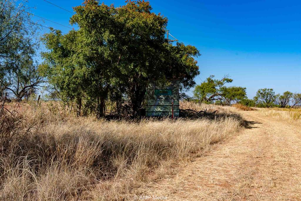 0 County Road 454 Rule, TX 79548 - Photo 13 of 40