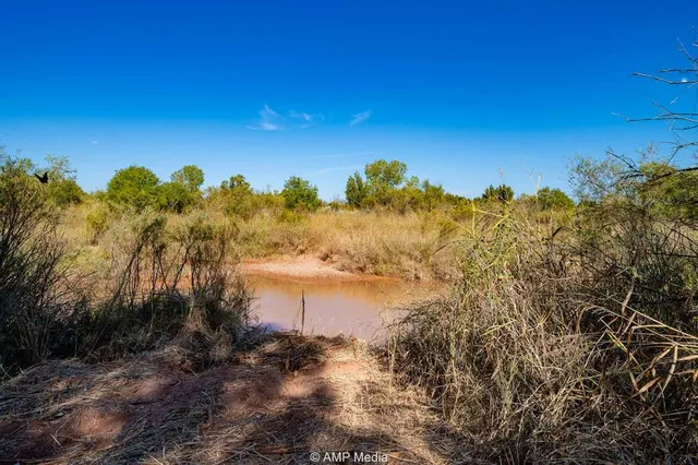 a view of a chairs in patio
