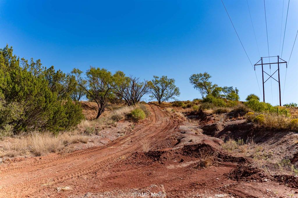 0 County Road 454 Rule, TX 79548 - Photo 19 of 40 a view of a garden with a tree