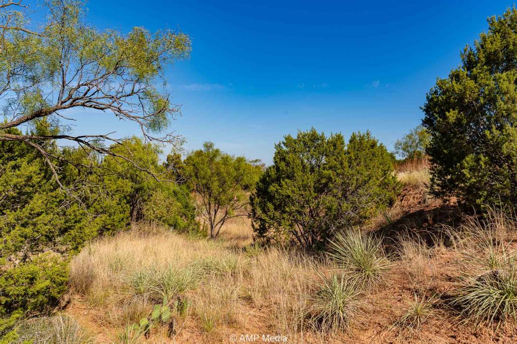 0 County Road 454 Rule, TX 79548 - Photo 25 of 40 a view of a yard