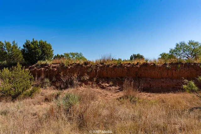 a view of a large yard with an outdoor space and seating