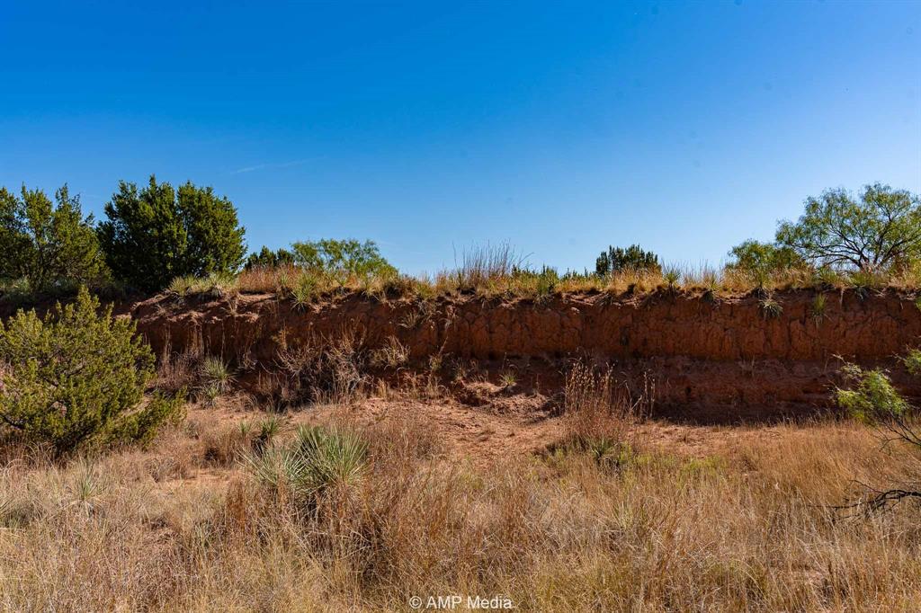 0 County Road 454 Rule, TX 79548 - Photo 26 of 40 a view of a dry yard with trees