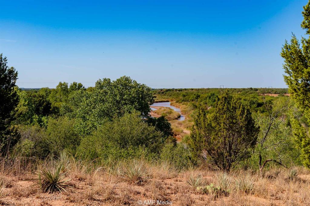 0 County Road 454 Rule, TX 79548 - Photo 28 of 40 a view of a yard