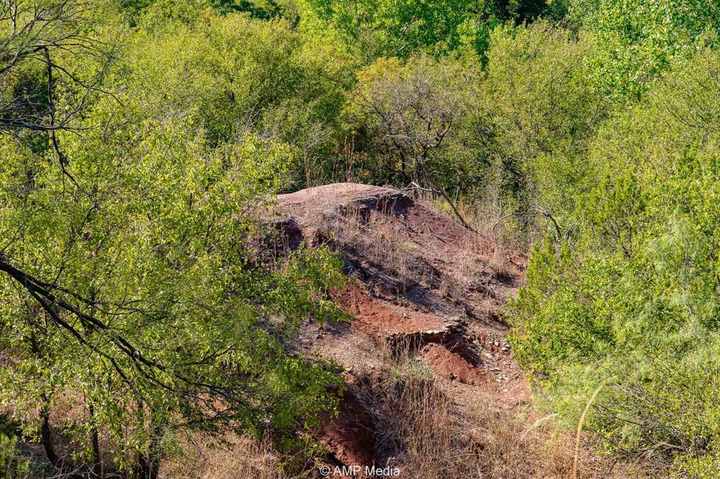 0 County Road 454 Rule, TX 79548 - Photo 29 of 40 a view of a large yard with plants and large trees