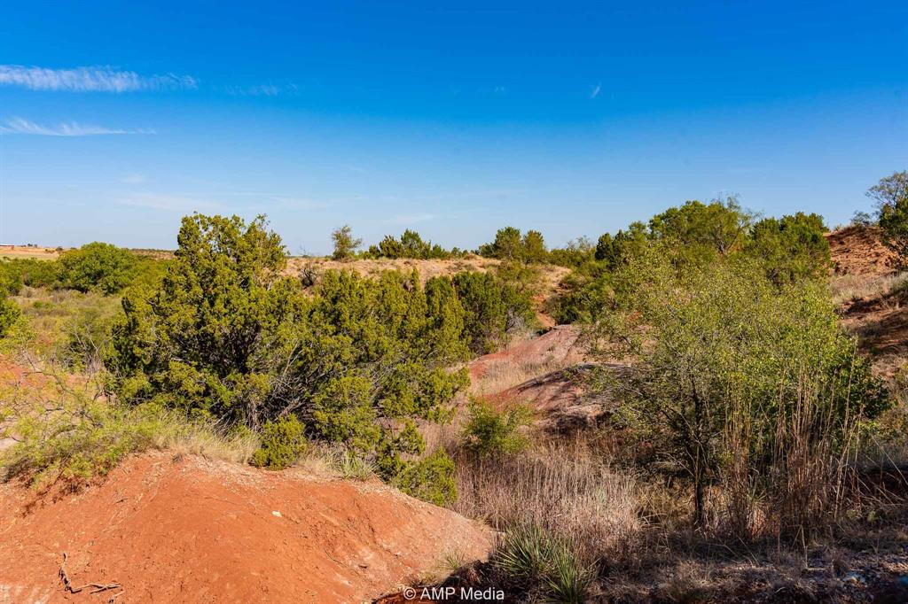 0 County Road 454 Rule, TX 79548 - Photo 32 of 40 a view of a yard