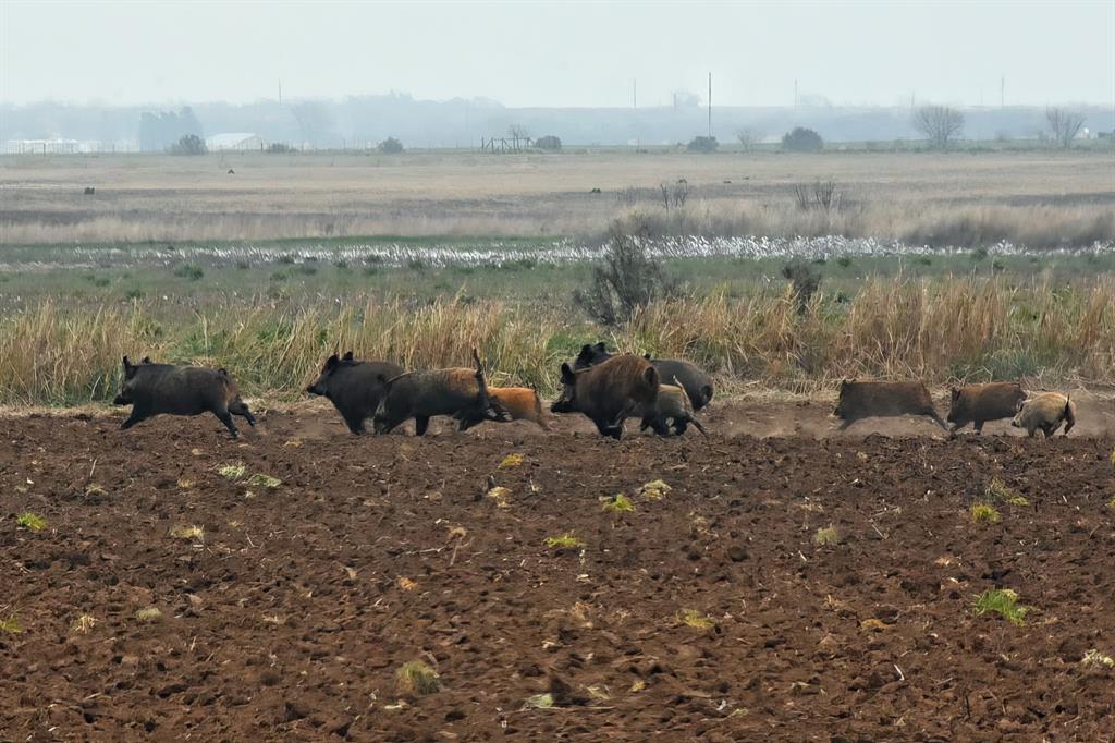 0 County Road 454 Rule, TX 79548 - Photo 33 of 40 a view of a lake with an outdoor space and seating