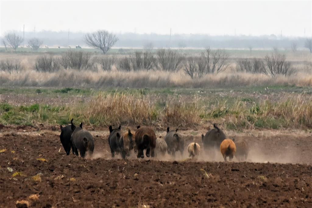 0 County Road 454 Rule, TX 79548 - Photo 34 of 40 a view of a lake with houses in the back