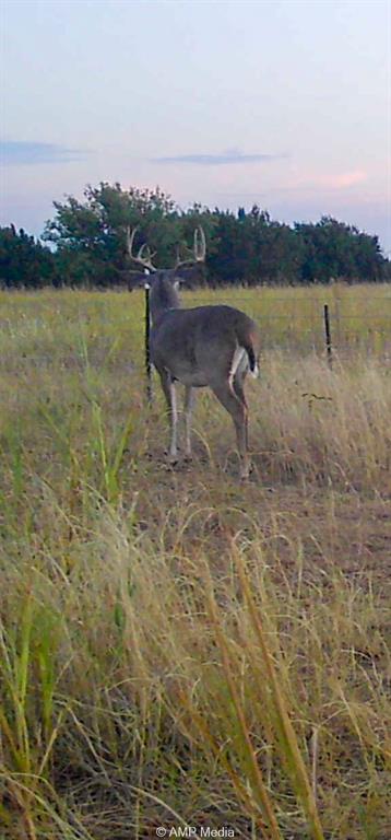 0 County Road 454 Rule, TX 79548 - Photo 39 of 40 a view of a lake with a mountain view