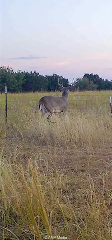 $364,000 | 0 County Road 454, Rule, TX 79548