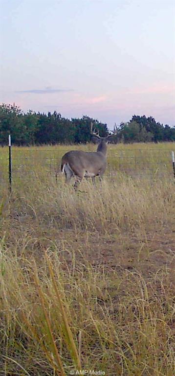 0 County Road 454 Rule, TX 79548 - Photo 40 of 40 a view of a lake with houses in the back