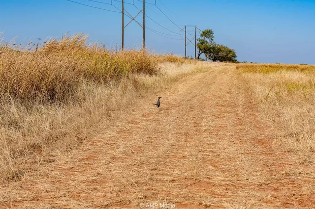 a view of outdoor space with trees