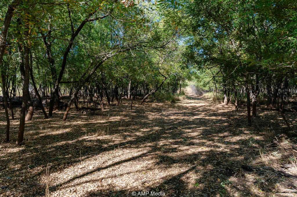 0 County Road 454 Rule, TX 79548 - Photo 9 of 40 a view of outdoor space with trees