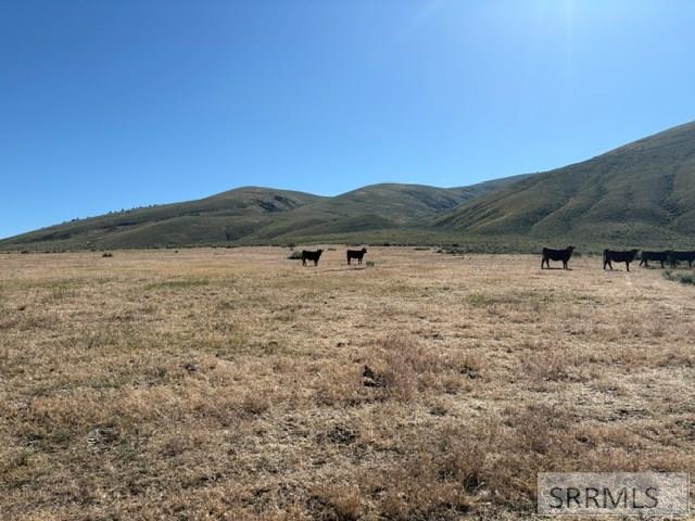 0 Tbd Salmon, ID 83467 - Photo 10 of 11