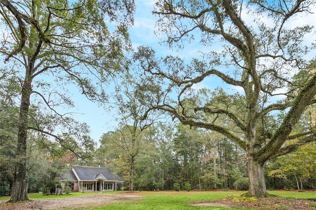 22231 Prats Road Abita Springs, LA 70420 - Photo 3 of 32