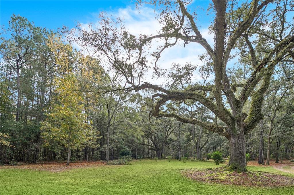 22231 Prats Road Abita Springs, LA 70420 - Photo 31 of 32