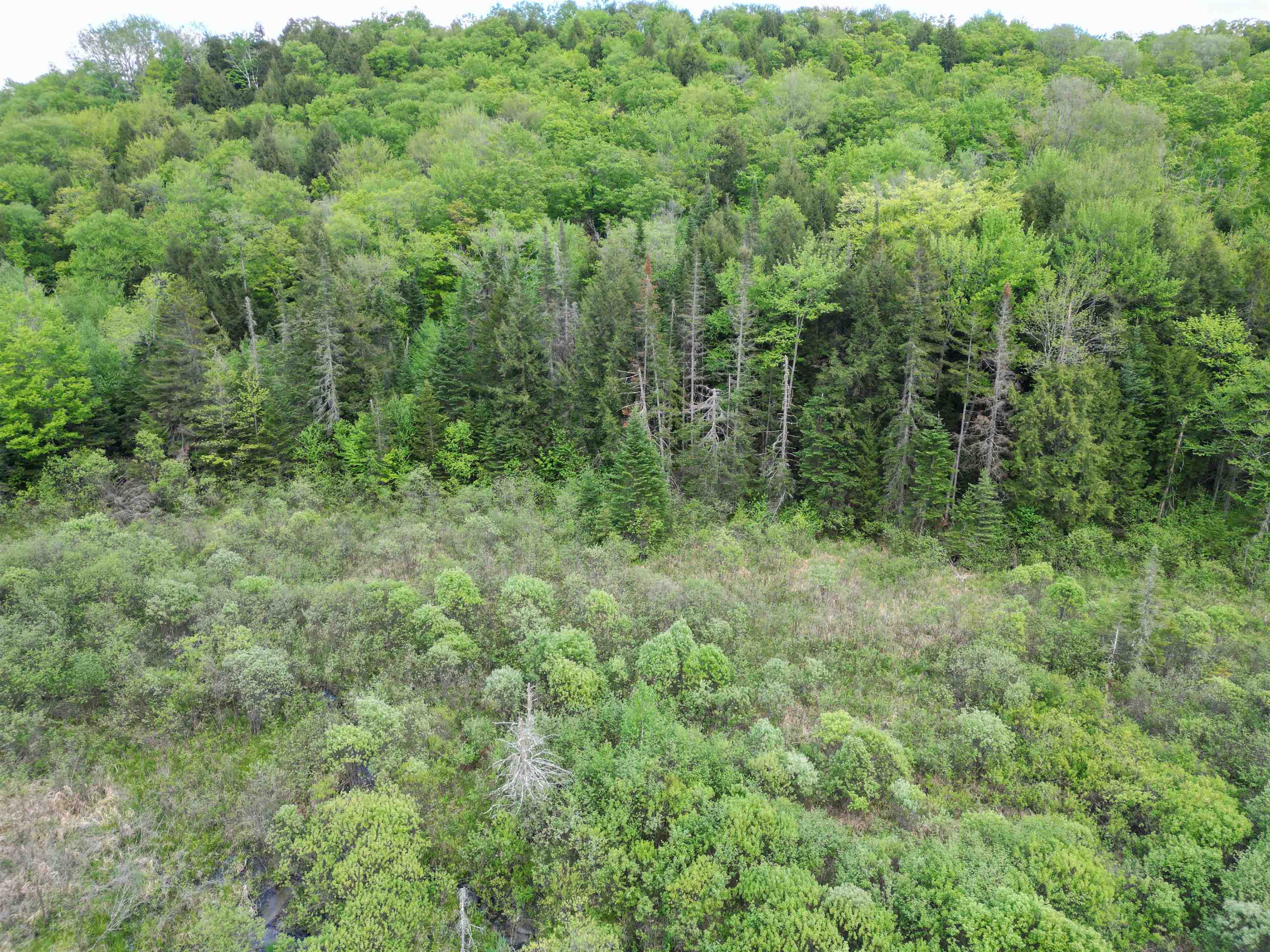 4823 Swamp Road Newbury, VT 05051 - Photo 9 of 10