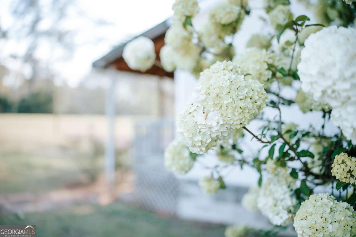 665 Elberton Road Lexington, GA 30648 - Photo 4 of 47