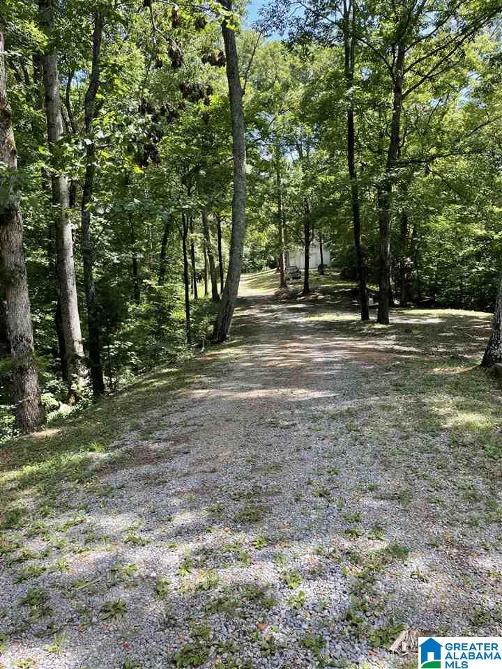 45 Spring Meadow Drive Talladega, AL 35160 - Photo 32 of 44