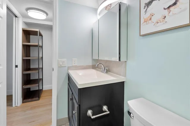 a bathroom with a sink toilet and vanity