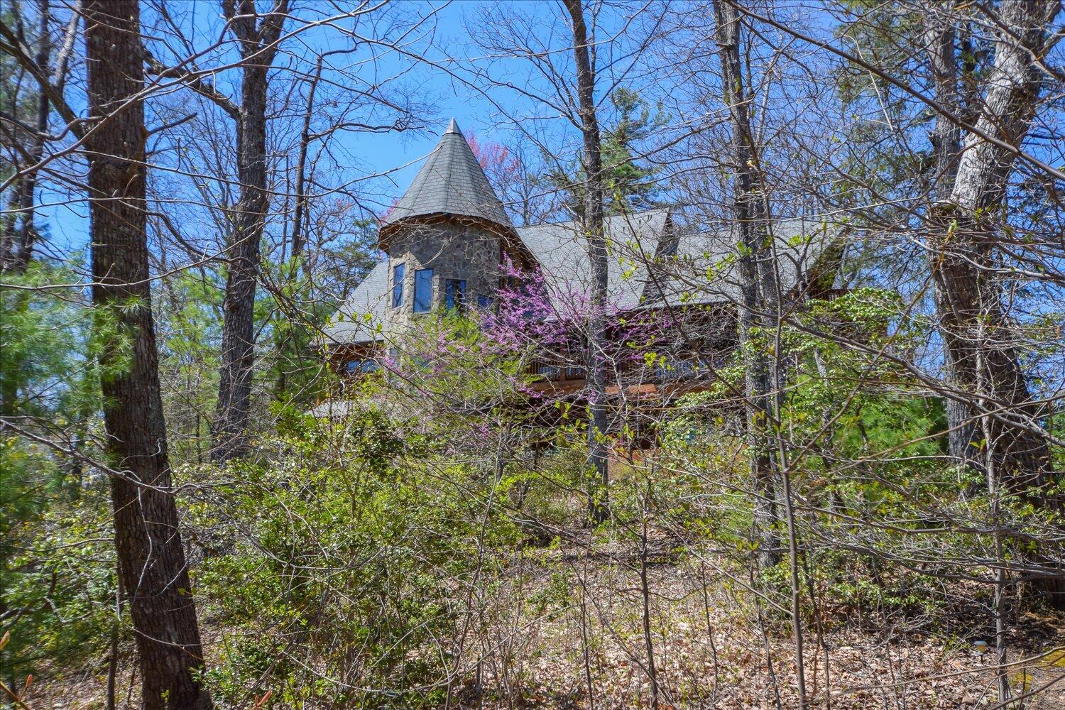 380 Hemlock Ridge Road Southeast Copper Hill, VA 24079 - Photo 2 of 59 a front view of a house with a yard