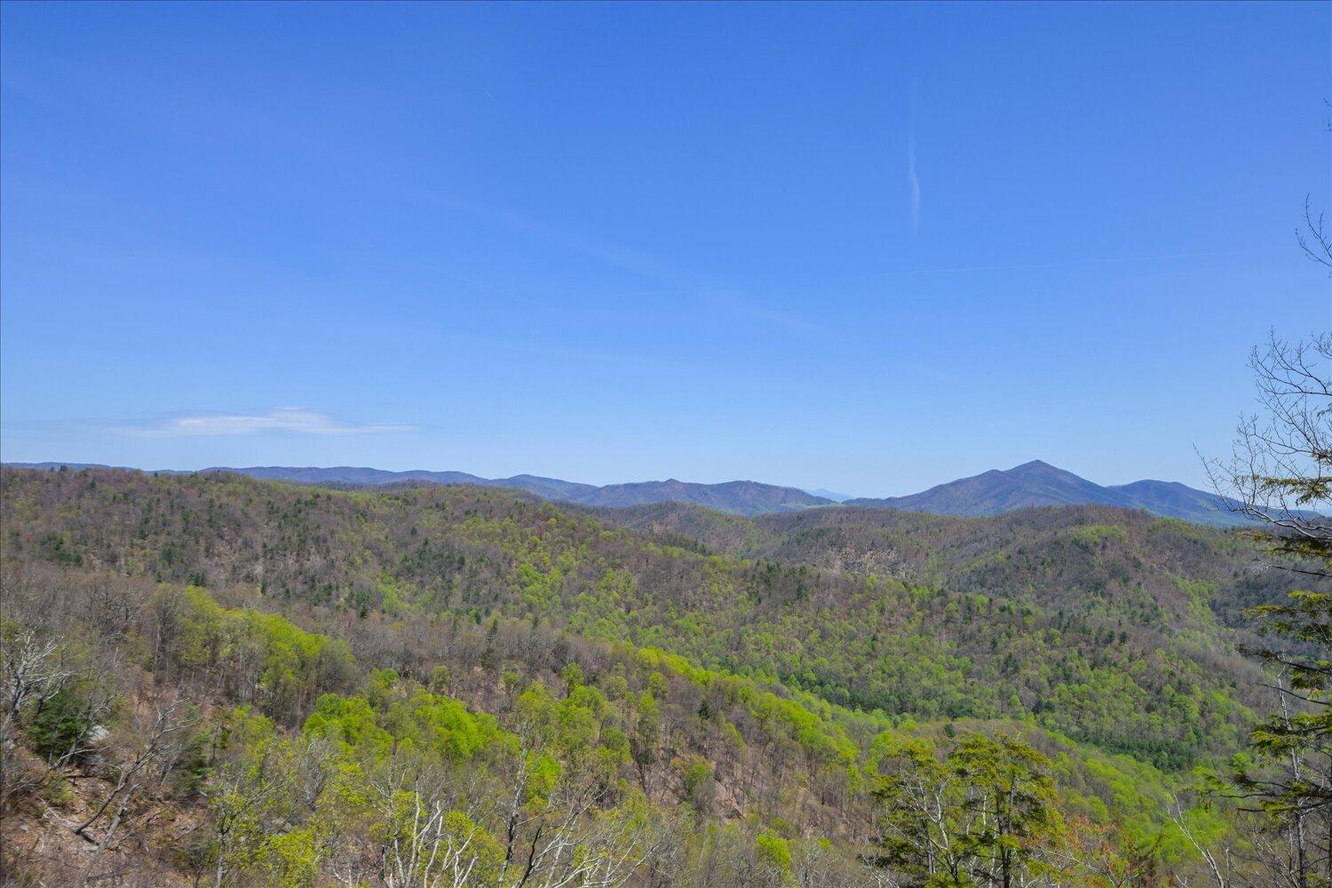 380 Hemlock Ridge Road Southeast Copper Hill, VA 24079 - Photo 44 of 59 a view of a mountain range with trees in the background