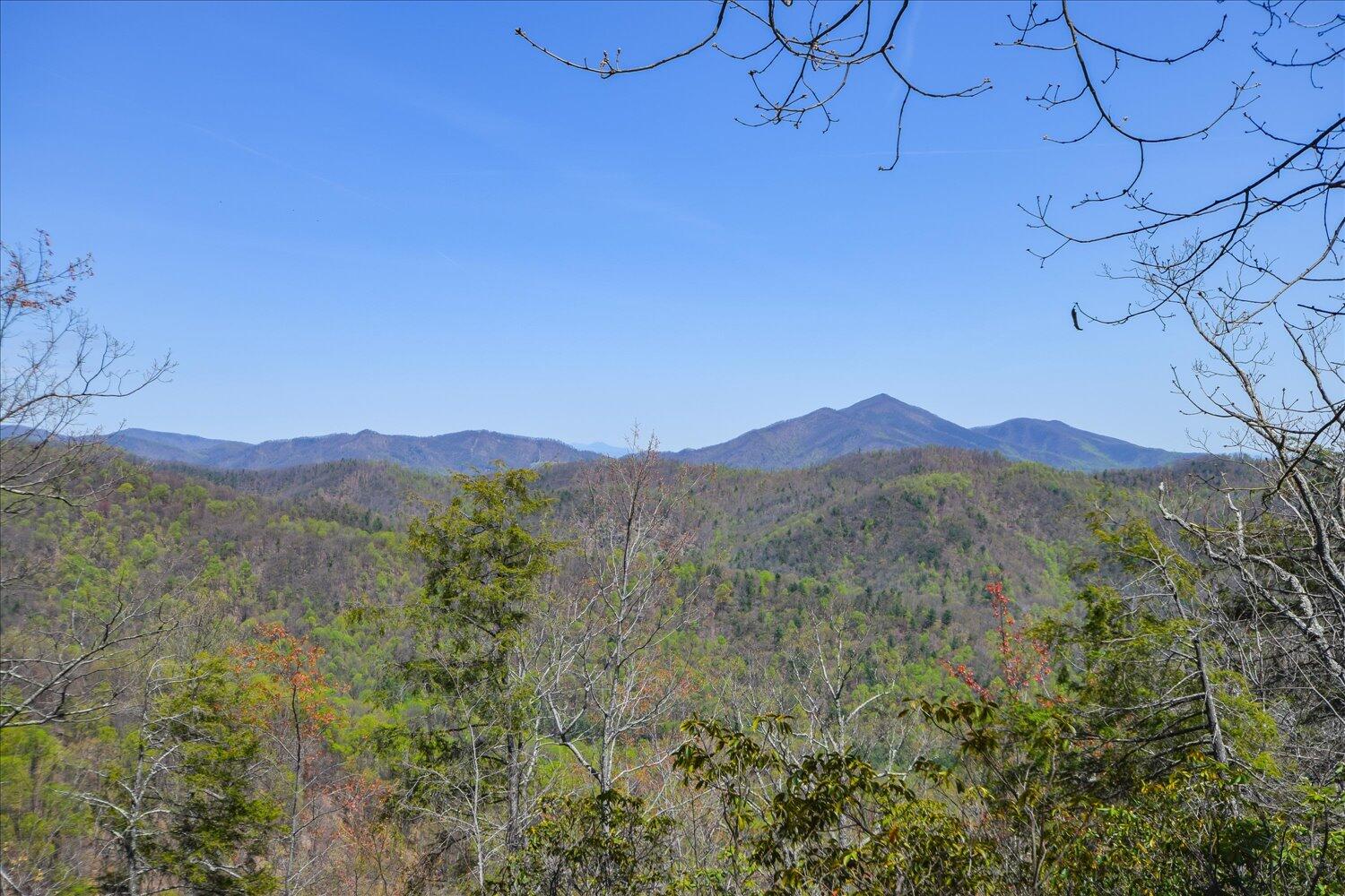 380 Hemlock Ridge Road Southeast Copper Hill, VA 24079 - Photo 59 of 59 a view of a mountain range with trees in the background