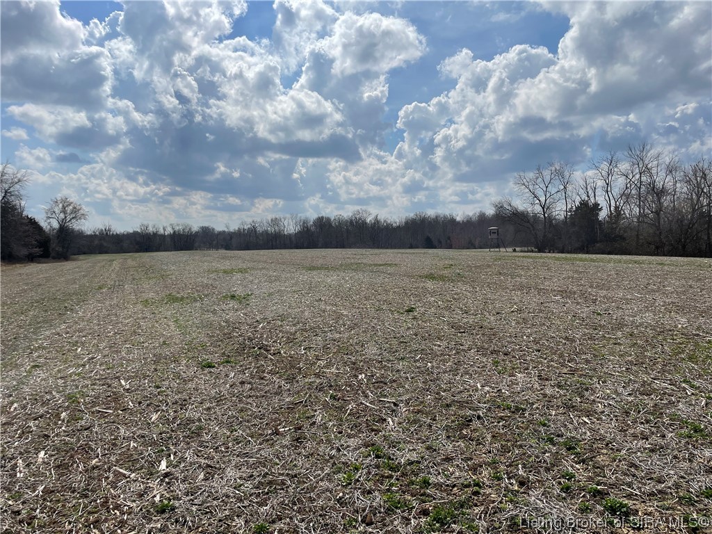 8745 North Hedgeapple Road Madison, IN 47250 - Photo 20 of 34